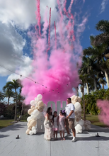 Load image into Gallery viewer, Control Party Cannon Machine Confetti Shooter GENDER REVERAL