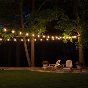 String Light 12-Light 24 ft. Black Commercial Incandescent